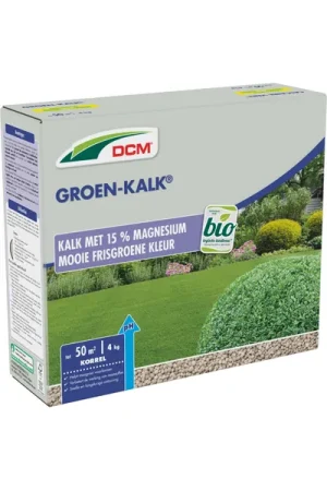 Groen-kalk | Nieuw binnen