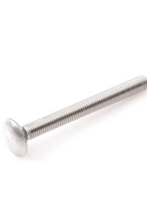 Actie | Slotbout RVS DIN 603 M6x70mm