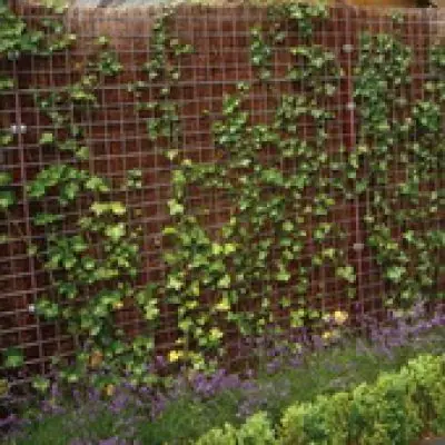 Betonmat volbad thermisch verzinkt 180x180cm 5/150mm - Zeer goed beoordeeld