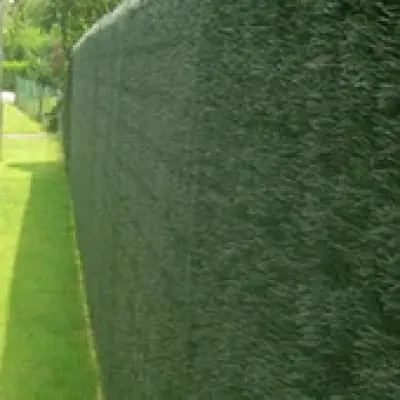 Koop vandaag - Kunsthaag taxus 1,5x3m
