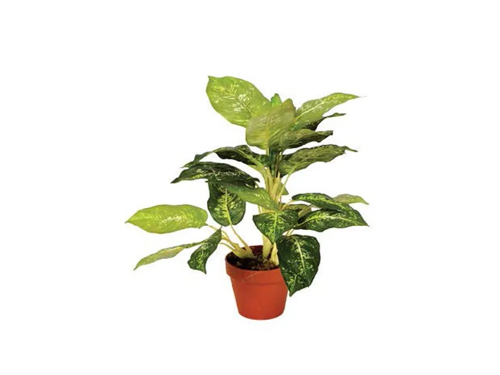 Topkwaliteit - Kunstplanten Calathea Luisae 50cm