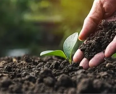 Teelaarde compost potgrond 1350kg - Nog maar enkele beschikbaar