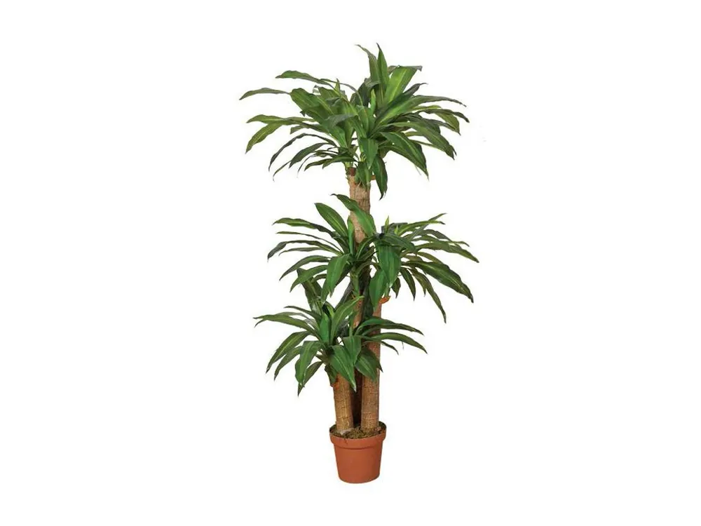Voordeelprijs - Kunstplant Dracaena 145cm