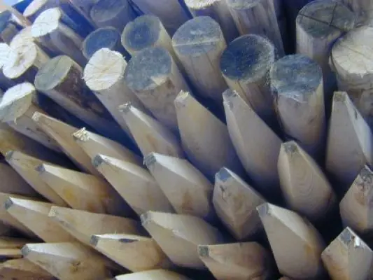 Kastanjehouten palen kastanje palen 7x160cm | Goed beoordeeld