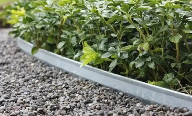 Professionele kwaliteit | Borderrand galvanisch verzinkt 240x10cm