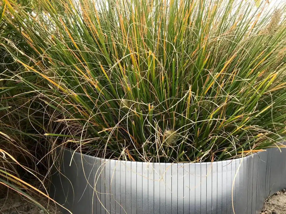 Op voorraad | Borderrand flexibel gegalvaniseerd 240x15cm