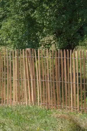 Actieprijs | Frans schapenhek robinia 80cmx10m latafstand 8-9 cm