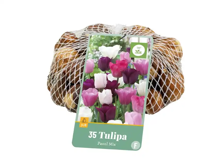 Koopje | Tulpenbollen Pastel Mix - 35 stuks