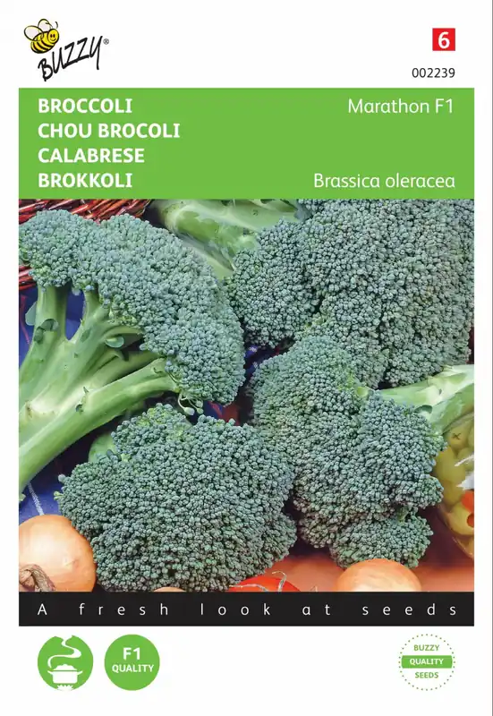Buzzy® zaden - Broccoli Marathon F1 | Nieuw