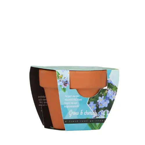 Buzzy® zaden - Grow Gifts Vergeet-me-niet | Scherp geprijsd