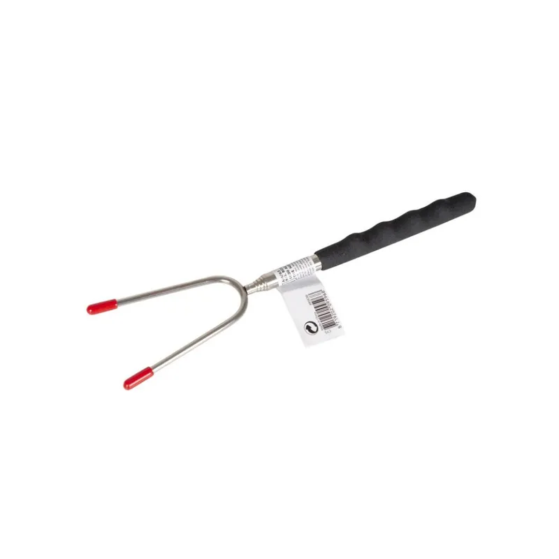 Uitschuifbare BBQ Vork & Marshmallow Pin - Populair