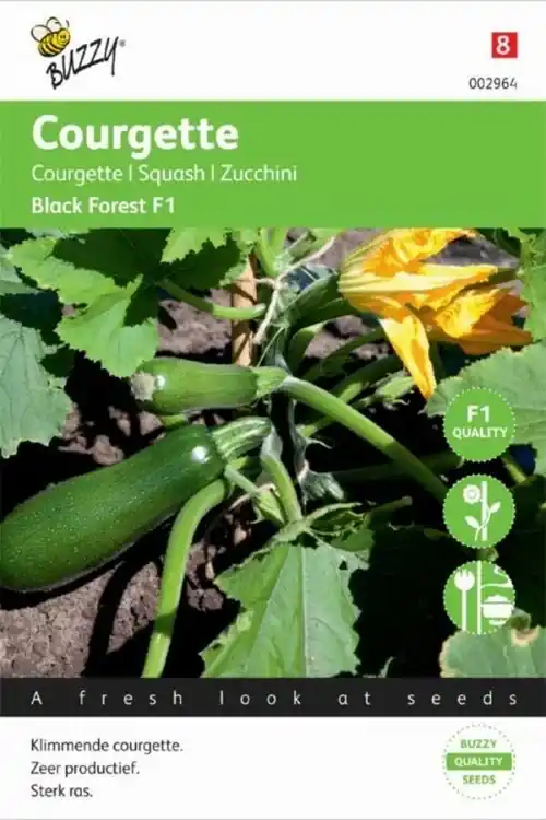 Buzzy® zaden - Courgette Klimmend Black Forest F1 | Direct beschikbaar