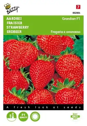 Buzzy® zaden - Aardbeien Grandian F1 | Veilige betaling