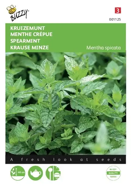 Buzzy® zaden - Munt (Kruizemunt) - Superprijs
