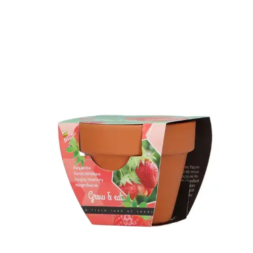 Topkwaliteit | Buzzy® zaden - Grow Gifts Aardbei