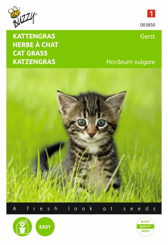 Buzzy® zaden - Kattengras Gerst - Snelle levering