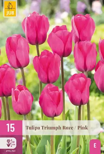 Populair bij klanten - Tulpenbollen Triumph Roze - 15 stuks
