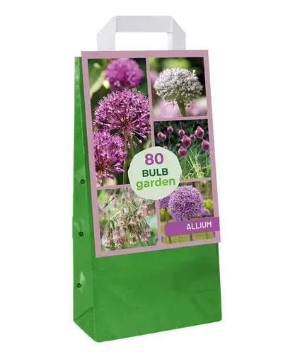 Draagtas Bulb Garden Allium - 80 bloembollen | Direct kopen