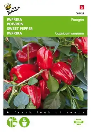 Topdeal - Buzzy® zaden - Paprika Snack Patio - rood - Paragon