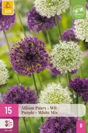 Allium paars/wit mix - 15 bloembollen | Actieprijs