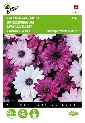 Buzzy® zaden - Osteospermum, Spaanse Margriet Akila mix - Meest verkocht