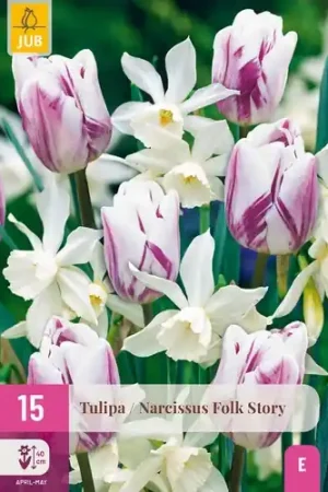 Actie loopt bijna af - Tulpenbollen / Narcissus Folk Story - 15 stuks