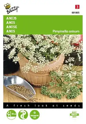 Buzzy® zaden - Anijs | Snelle levering