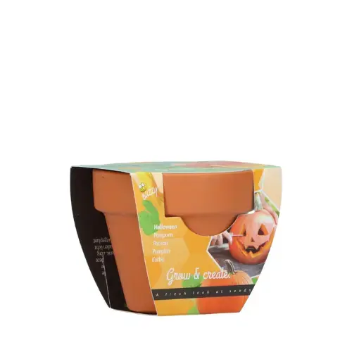 Veel gekozen | Buzzy® zaden - Grow Gifts Pompoen