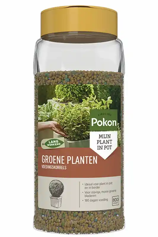 Sale | Pokon Groene Planten Voedingskorrels 800gr