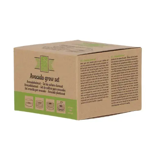 Snelle levering | Esschert Design Avocado kweekset