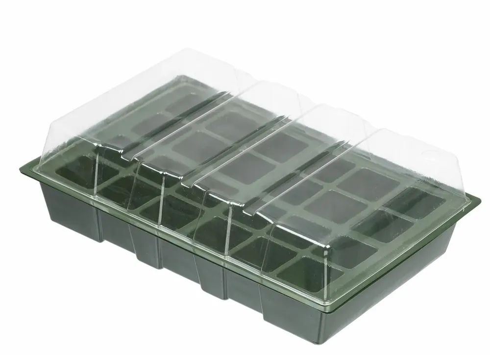 Rechtstreeks van de fabrikant - Nature Mini Kweekbakset 35x23x11cm Groen (4 stuks)