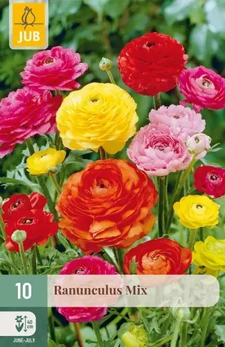 Ranunculus Mix - 10 bloembollen - Bespaar nu