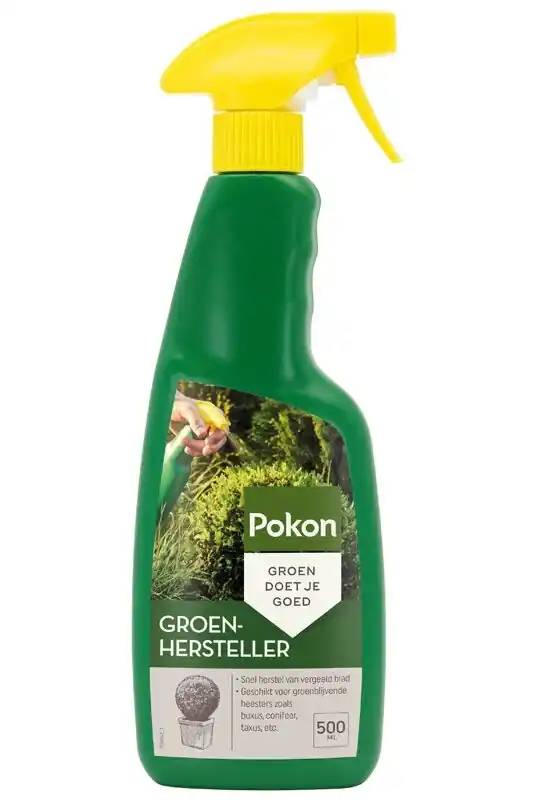 Nieuw binnen | Buxus Groen 500ml