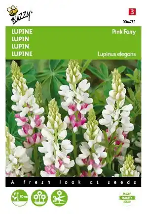 Buzzy® zaden - Lupinus, Lupine Rose laag Pink Fairy - Veilig betalen