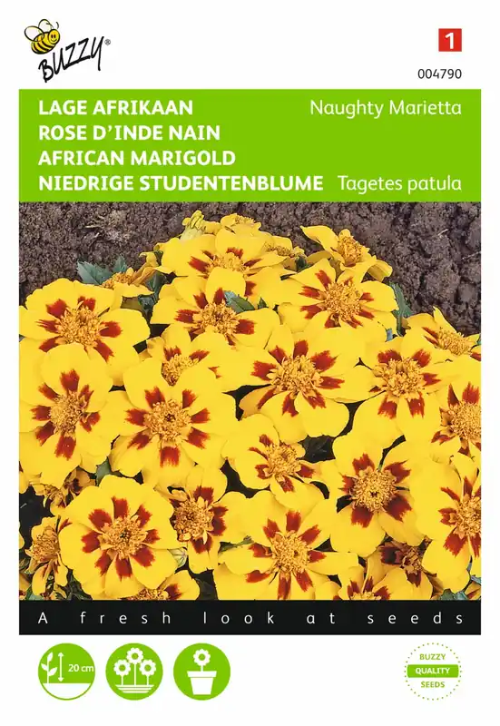 Outlet | Buzzy® zaden - Tagetes, lage Afrikaan Naughty Marietta