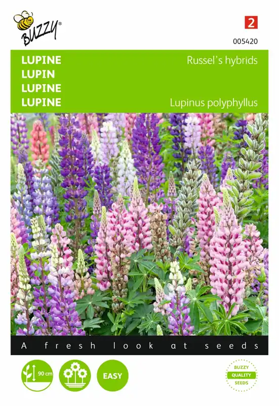 Buzzy® zaden - Lupinus, Lupine Russel’s Hybrids gemengd | Nieuw product