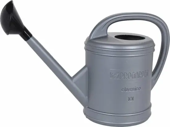 Prijs verlaagd - Gieter 10 Liter Zilver