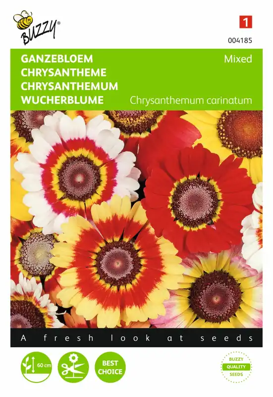 Veilige betaling - Buzzy® zaden - Chrysanthemum, Ganzebloem gemengd