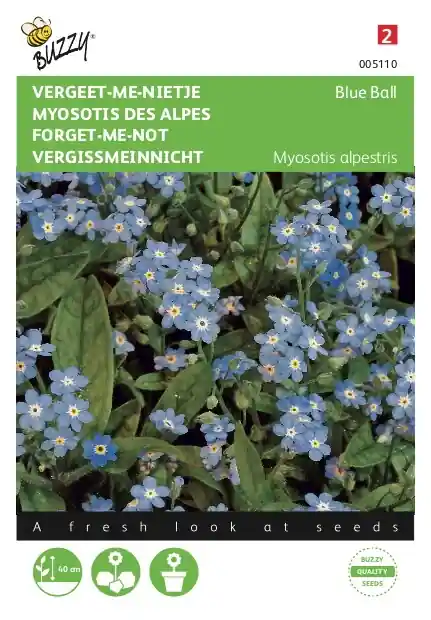 Buzzy® zaden - Myosotis, ‘vergeet-me-nietje‘ blauw | Veel gekozen