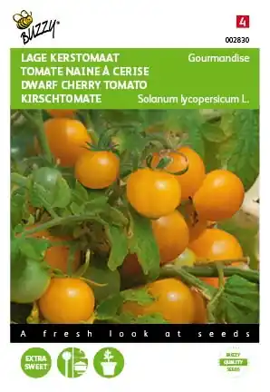 Veel gevraagd - Buzzy® zaden - Tomaten Gourmandise (gele cherry patio)