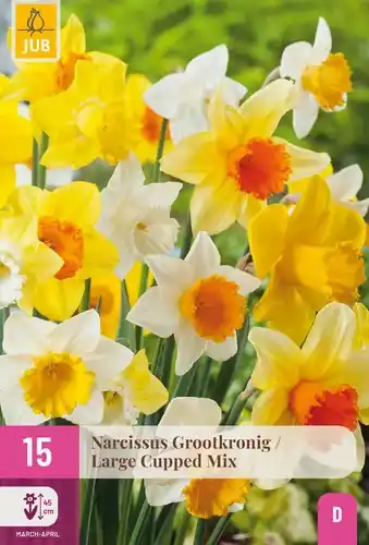 Direct bestellen | Narcissus Grootkronig Mix - 15 bloembollen