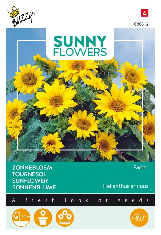 Prijsverlaging - Buzzy® zaden - Sunny Flowers, Zonnebloem Pacino Gold
