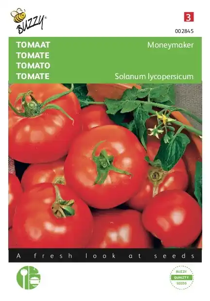 Buzzy® zaden - Tomaat Moneymaker - Direct leverbaar