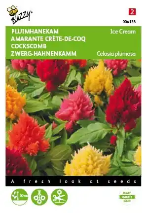 Populair bij klanten | Buzzy® zaden - Celosia, Pluimhanekam Ice Cream gemengd