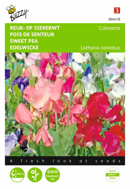 Deal - Buzzy® zaden - Lathyrus, Reuk- of siererwt Colorama