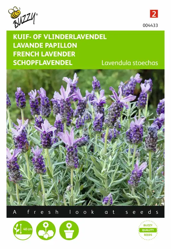 Laatste stuks | Buzzy® zaden - Lavandula, Kuif- of Vlinderlavendel