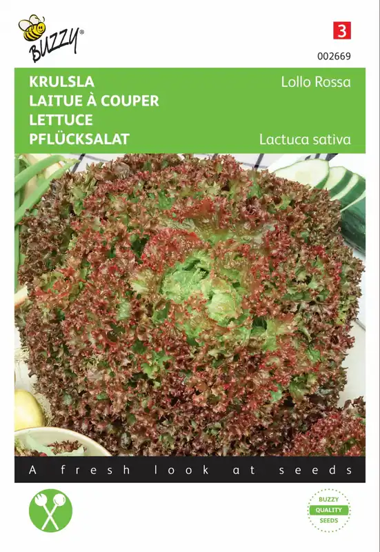 Speciale aanbieding - Buzzy® zaden - Krulsla Lollo Rossa