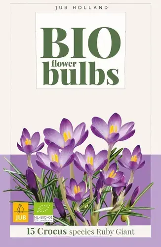 Pak je kans | Biologische krokusbollen ‘Ruby Giant‘- 15 stuks