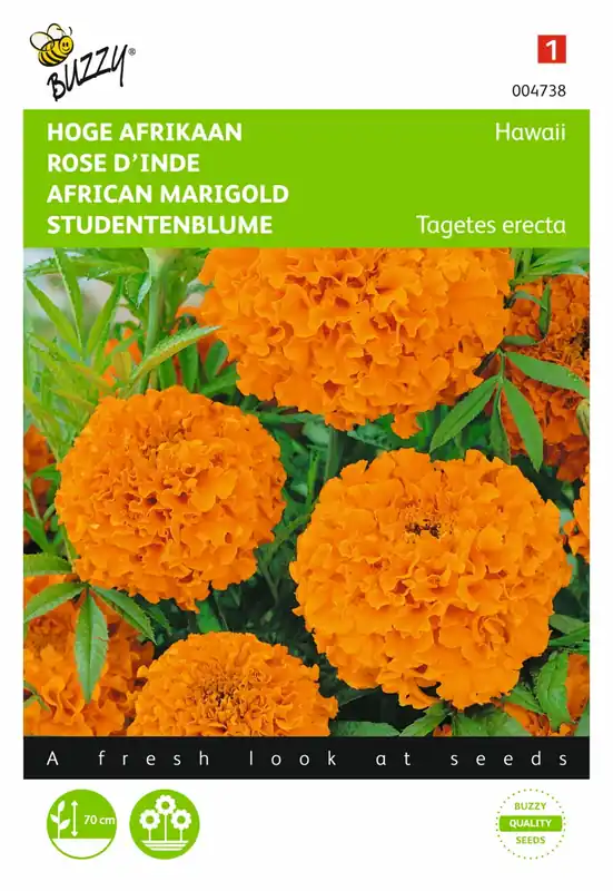 Topproduct - Buzzy® zaden - Tagetes, hoge Afrikaan Hawaii oranje