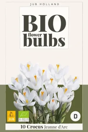 Aanbieding | Biologische krokusbollen ‘Jeanne d‘Arc‘ - 10 stuks